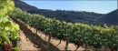 201-picard-vineyard-concept-03.jpg
