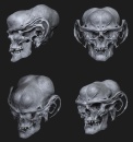 202-ferengi-skull-3d-model.jpg