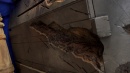 picard-s1-feature-sets-56.jpg
