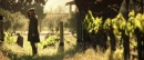picard-101-remembrance-142.jpg