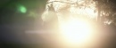 picard-107-nepenthe-160.jpg