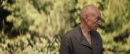 picard-107-nepenthe-390.jpg