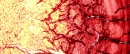 picard-109-EIAE-part1-472.jpg